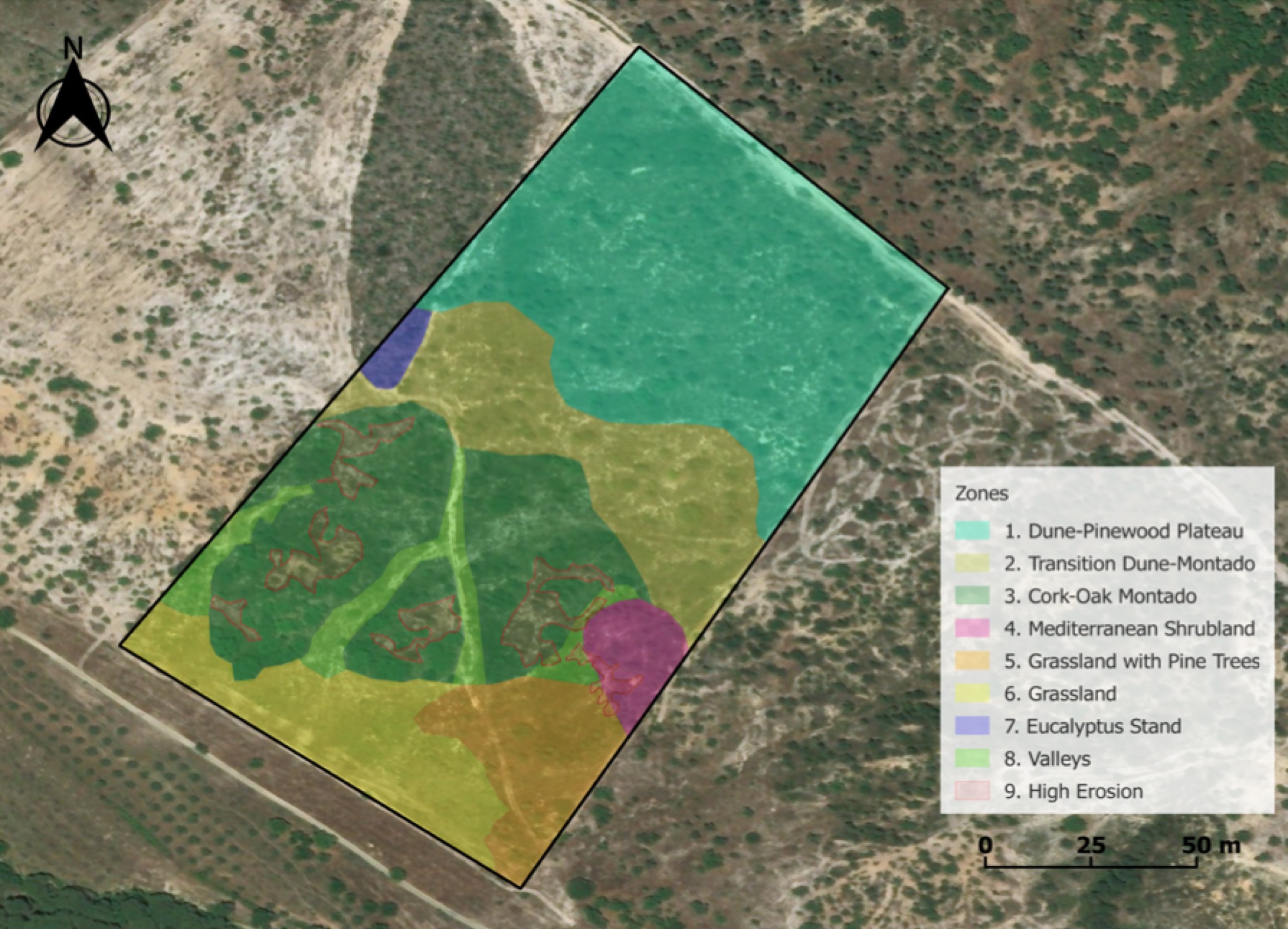 The parcel divided into nine landscape zones